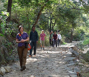 Bicycling in Udaipur